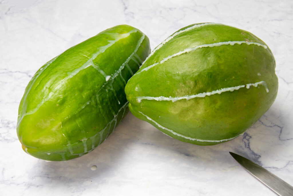 Freshly cut green papayas with milky sap.